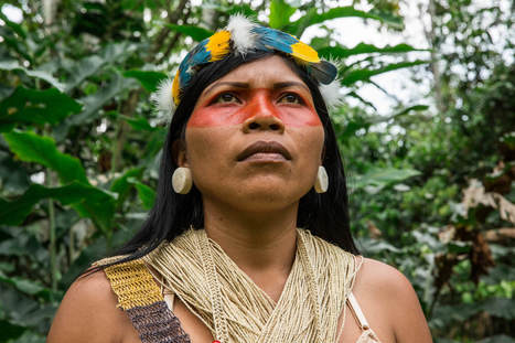 Indigenous Amazonian Leader Nemonte Nenquimo Is Named TIME 100 Most Influential People In The World | Galapagos | Scoop.it