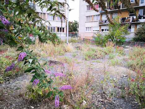 Quel potentiel de renaturation en Île-de-France ? - ARB | Les Colocs du jardin | Scoop.it