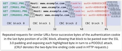 POODLE attack takes bytes out of your encrypted data - here's what to do | ICT Security-S&eacute;curit&eacute; PC et Internet | Scoop.it