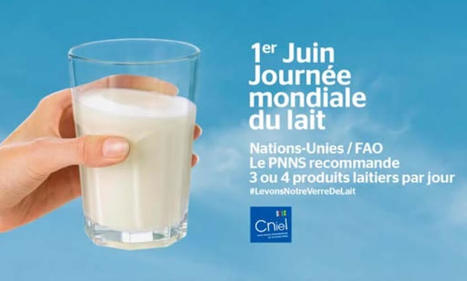 OPL : 450 € les 1 000 litres de lait, un prix loin d'être démagogique ! - Coordination Rurale | Lait de Normandie... et d'ailleurs | Scoop.it