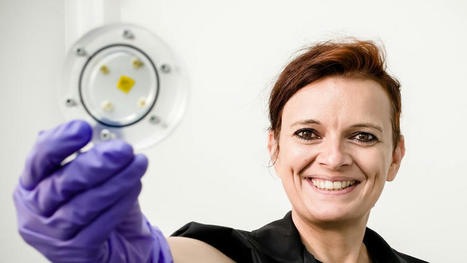 Audrey Dussutour distinguée par le CNRS : "De 7 heures à minuit, je vis pour le blob" | Revue de presse | Scoop.it