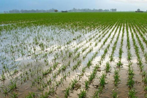 L’excès d’eau reste critique en Europe de l’Ouest