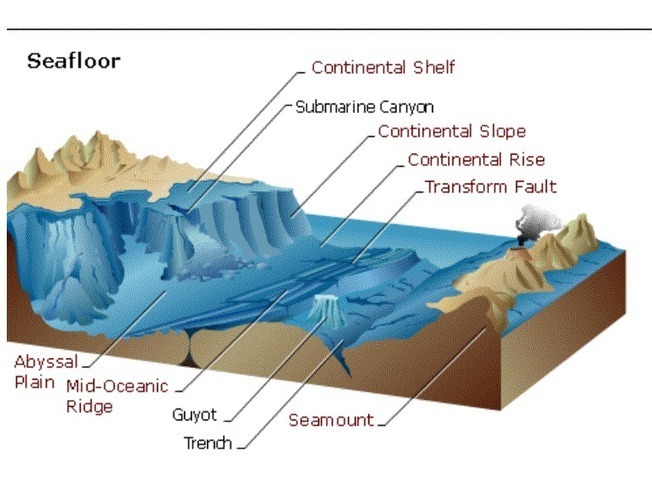 Ocean Landforms | The Wonderful World of Scienc...