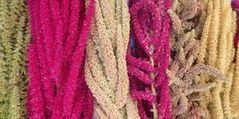 Himalayan foods: healthy and nutritious crop varieties | The Asian Food Gazette. | Scoop.it