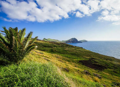 Randonner à Madère - Fédération Française de la Randonnée Pédestre | Tourisme de randonnées                                                                                                                                                                                 & Sports de nature pour les pros | Scoop.it