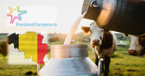 FrieslandCampina veut à nouveau séduire les agriculteurs belges | Lait de Normandie... et d'ailleurs | Scoop.it