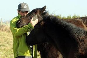 Lasserre. Ours.« On doit avoir le droit de nous défendre » - La Dépêche | Pastoralisme Ours Loups Lynx | Scoop.it