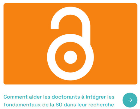 Comment aider les doctorants &agrave; int&eacute;grer les fondamentaux de la SO dans leur recherche&nbsp; | InfoDoc - Information Scientifique Technique | Scoop.it