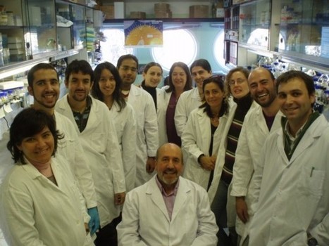 Cinco motivos que dio la ciencia española en 2012 para salvarse ... | Mi Cajón de Ideas | Scoop.it