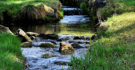 Neuf projets de solutions fond&eacute;es sur la nature r&eacute;compens&eacute;s | Biodiversit&eacute; | Scoop.it