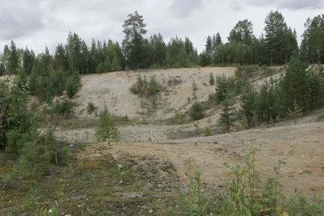 Uhri kyyditettiin murhattavaksi soramontulle ja kätkettiin maastoon Oulussa – poliisi pyytää havaintoja tapaukseen liittyvistä ajoneuvoista | 1Uutiset - Lukemisen tähden | Scoop.it