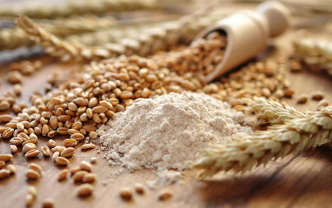 La sécheresse pousse le MAROC à multiplier ses achats de blé sur le marché mondial | MED-Amin network | Scoop.it