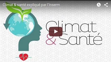 Climat & Santé : une exposition pédagogique | Variétés entomologiques | Scoop.it