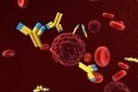 UCB to present immunology data at EULAR 2014 - Zenopa | Rheumatology-Rhumatologie | Scoop.it