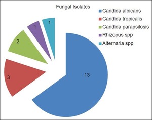 Fungal peritonitis in continuous ambulatory peritoneal dialysis | Peritoneal dialysis | Scoop.it