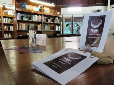 Collections rafra&icirc;chies, espaces r&eacute;organis&eacute;s, la biblioth&egrave;que de Kourou est pr&ecirc;te pour la rentr&eacute;e. | InfoDoc - Information Scientifique Technique | Scoop.it
