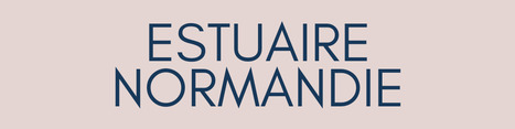 Estuaire, Normandie | Une semaine d'actu - Newsletter de veille de l'AURH | Scoop.it