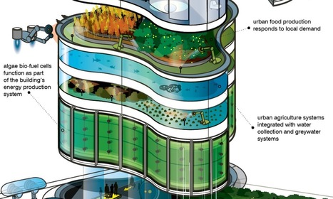 Envisioning the urban skyscraper of 2050 | Stage 5  Changing Places | Scoop.it