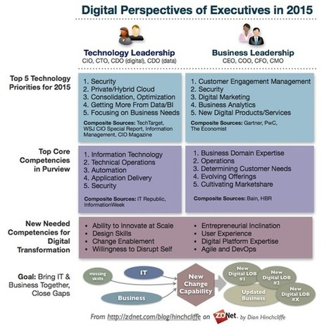 Closing the gap between executives and digital transformation - Enterprise Irregulars | Peer2Politics | Scoop.it