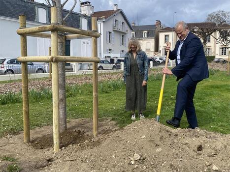 Mont-de-Marsan : le 2 000e arbre du plan de végétalisation planté au square des Anciens combattants | Landes | Scoop.it