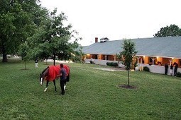 Autopsy hush-hush in Churchill Downs slaying | Racing Business | Scoop.it