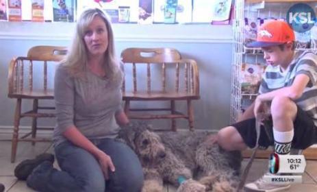 VIDEO. Etats-Unis : le sauvetage miracle du chien Toby, tombé d'une falaise | @ZeHub | Scoop.it