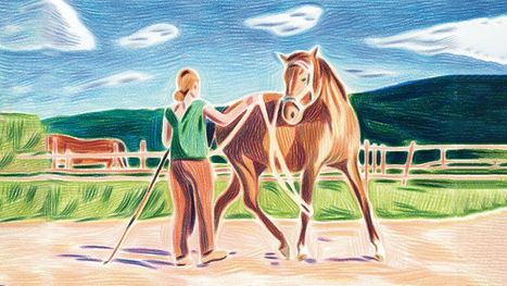 Equitation : pourquoi le cheval suscite tant de passion ? | (Macro)Tendances Tourisme & Travel | Scoop.it