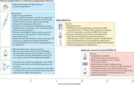COVID-19 in people with rheumatic diseases: risks, outcomes, treatment considerations | Nature Reviews Rheumatology | Rheumatology-Rhumatologie | Scoop.it
