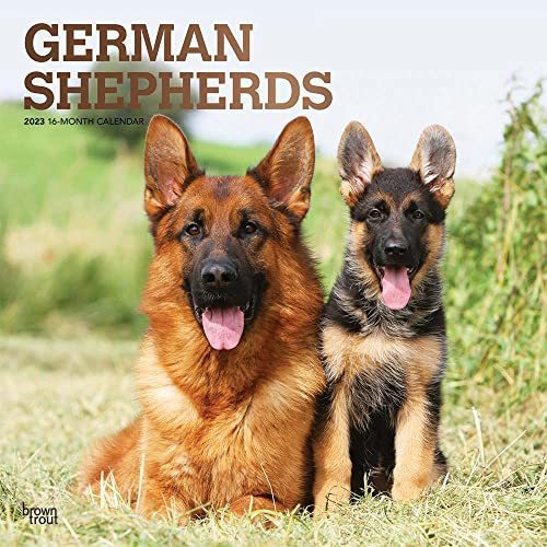 PDF] GET German Shepherds | 2023 12 x 24 Inch ...