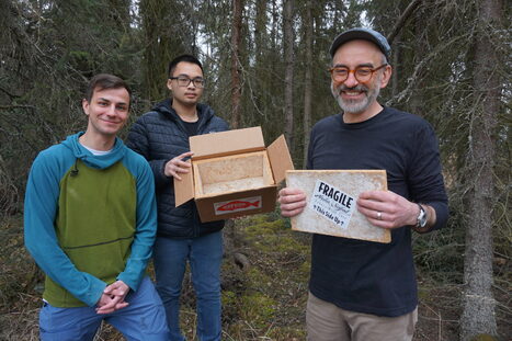 Fungi and spruce may help solve Alaska’s plastic pollution problem | Industry 411 - Waste Management | Scoop.it