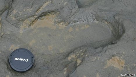 Scientists have discovered the earliest human footprints outside of Africa, 800,000 years old | Amazing Science | Scoop.it