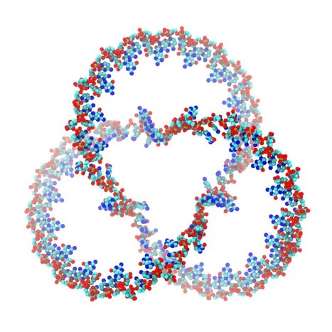 Empower multiplex cell and tissue-specific CRISPR-mediated gene manipulation with self-cleaving ribozymes and tRNA | Genetic Engineering Publications - GEG Tech top picks | Scoop.it