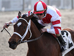 Havre de Grace Works, Assigned 123 Pounds | BloodHorse.com | Racing News | Scoop.it