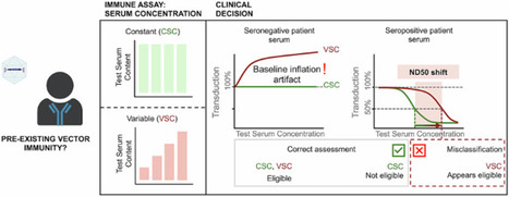 Overcoming matrix effects in AAV neutralization assays with a constant serum concentration approach | Gene Therapy | Virology News | Scoop.it