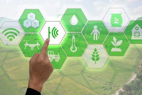 The Future of Farming: Leveraging IoT Tech for Plant Growth with Arrow and Analog Devices | Technology in Business Today | Scoop.it