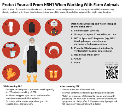 Recommendations for Worker Protection and Use of Personal Protective Equipment (PPE) to Reduce Exposure to Novel Influenza A Viruses Associated with Severe Disease in Humans - Avian Influenza - CDC | Virus World | Scoop.it