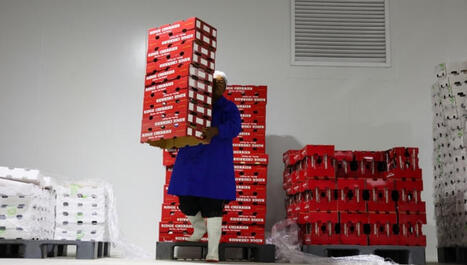 CHINA: Opens market to South African cherries as U.S. trade sours | ASIES | Scoop.it