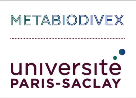 Thematic School Metabiodivex 2026 | Plant Sciences | Scoop.it