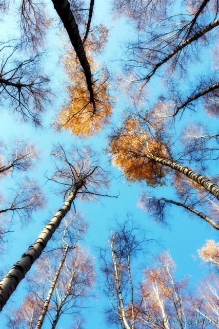 Look Up-Look Way Up! | The Creative Commons | Scoop.it