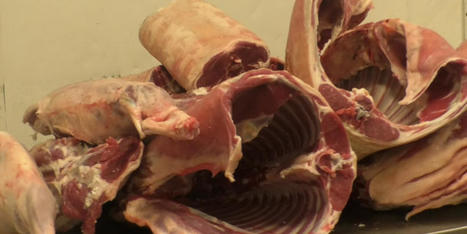 Les Trésors D!CI  à la découverte des abattoirs de Digne-les-Bains et de Seyne-les-Alpes | La Gazette des abattoirs | Scoop.it