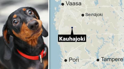 Mäyräkoira joutui kakkakiipeliin | 1Uutiset - Lukemisen tähden | Scoop.it