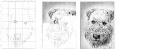 How to Draw a Wheaton Terrier | Drawing and Painting Tutorials | Scoop.it