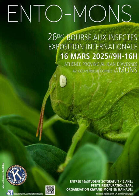 ENTO-MONS Bourse aux insectes dimanche 16 mars 2025 Athénée Provincial Jean d’Avesnes Mons (Belgique) | Variétés entomologiques | Scoop.it