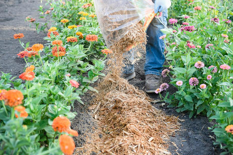 How to Mulch Like a Pro | Best Backyard Patio Garden Scoops | Scoop.it