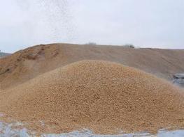 China to raise local grain reserves to improve food security  | ASIES | Scoop.it