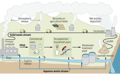 Synthèse des recherches sur l’impact des produits contenant des PFAS sur l'environnement | Phys.org | Prévention du risque chimique | Scoop.it