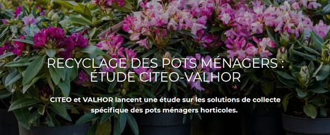 Recyclage des pots ménagers : étude CITEO | HORTICULTURE | Scoop.it