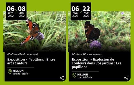 Loisirs : zoom sur trois expositions autour de Saint-Brieuc | Variétés entomologiques | Scoop.it