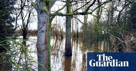 Country diary: glimpses of a drowned world | Environment | The Guardian | Nature Flash | Scoop.it