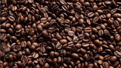 V.Biotech transforme le marc de café en matière première industrielle | Innovation Agro-activités et Bio-industries | Scoop.it